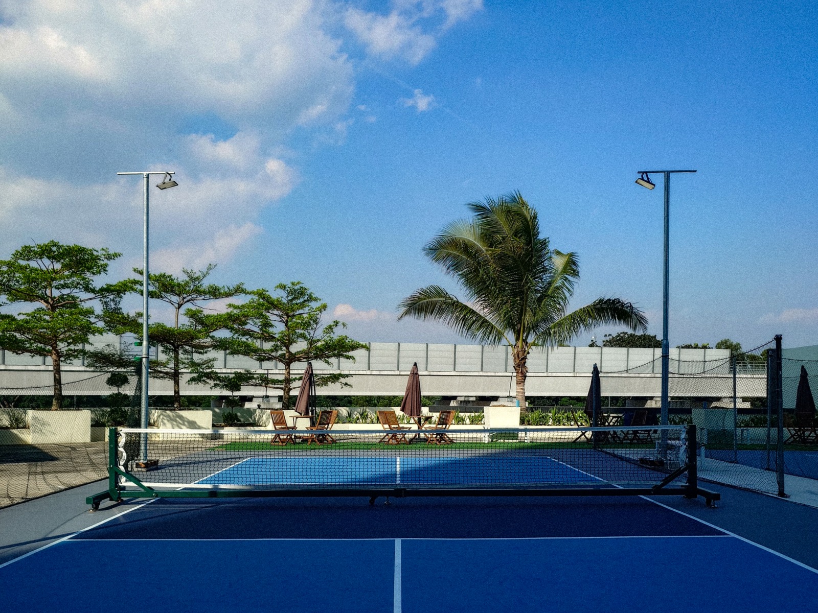 PAD Pickleball - Paddle and Dink - Photo 5