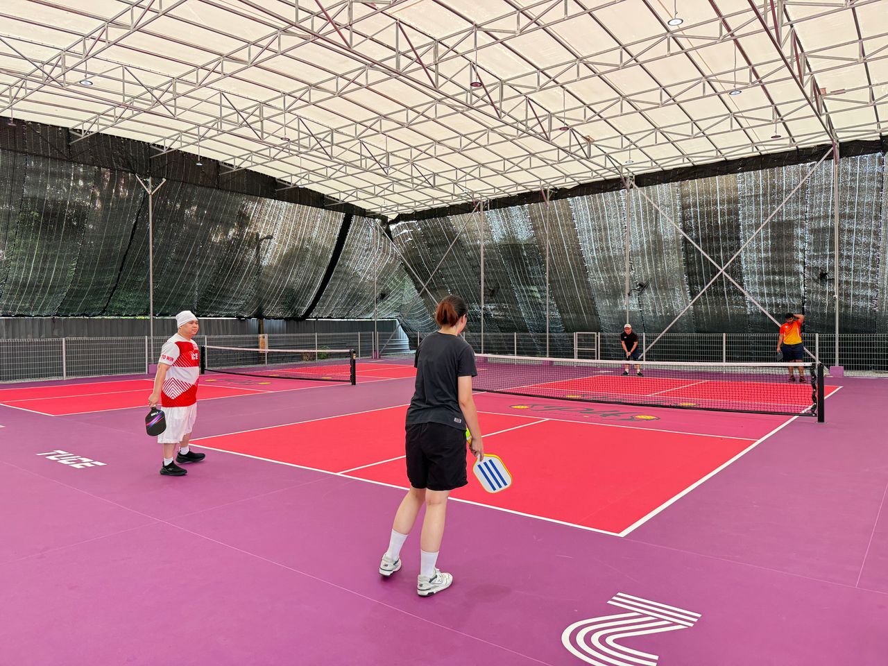 P4 Pickleball Sport (Kayu Ara) - Photo 4