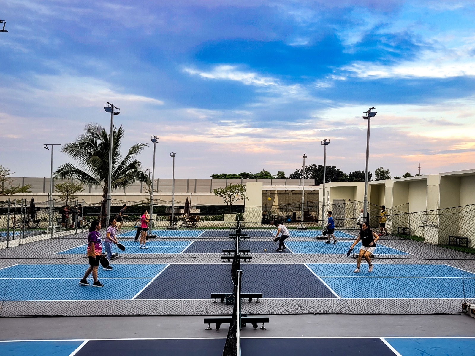 PAD Pickleball - Paddle and Dink - Photo 4