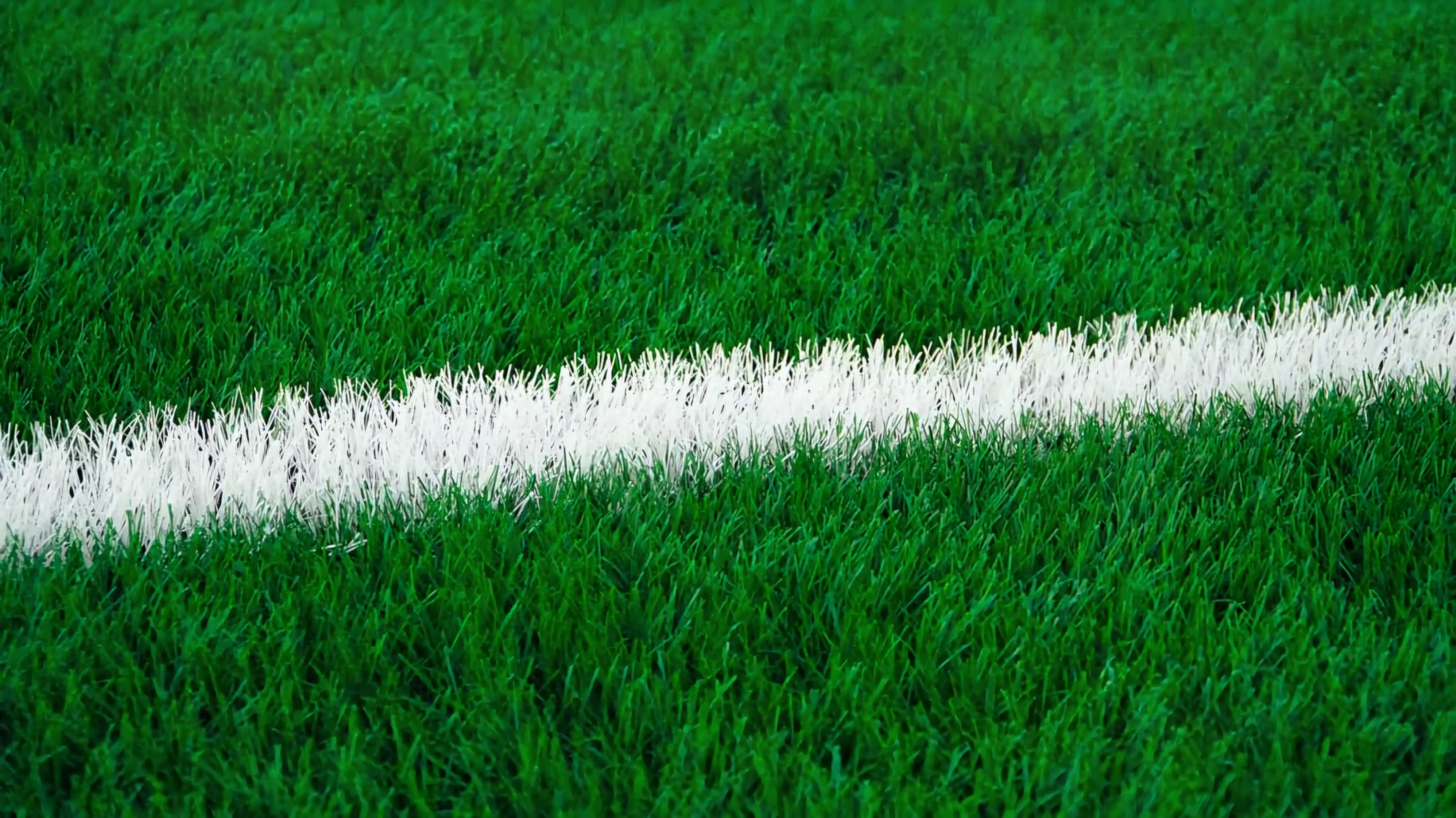 Andalas Sports Complex - Photo 10