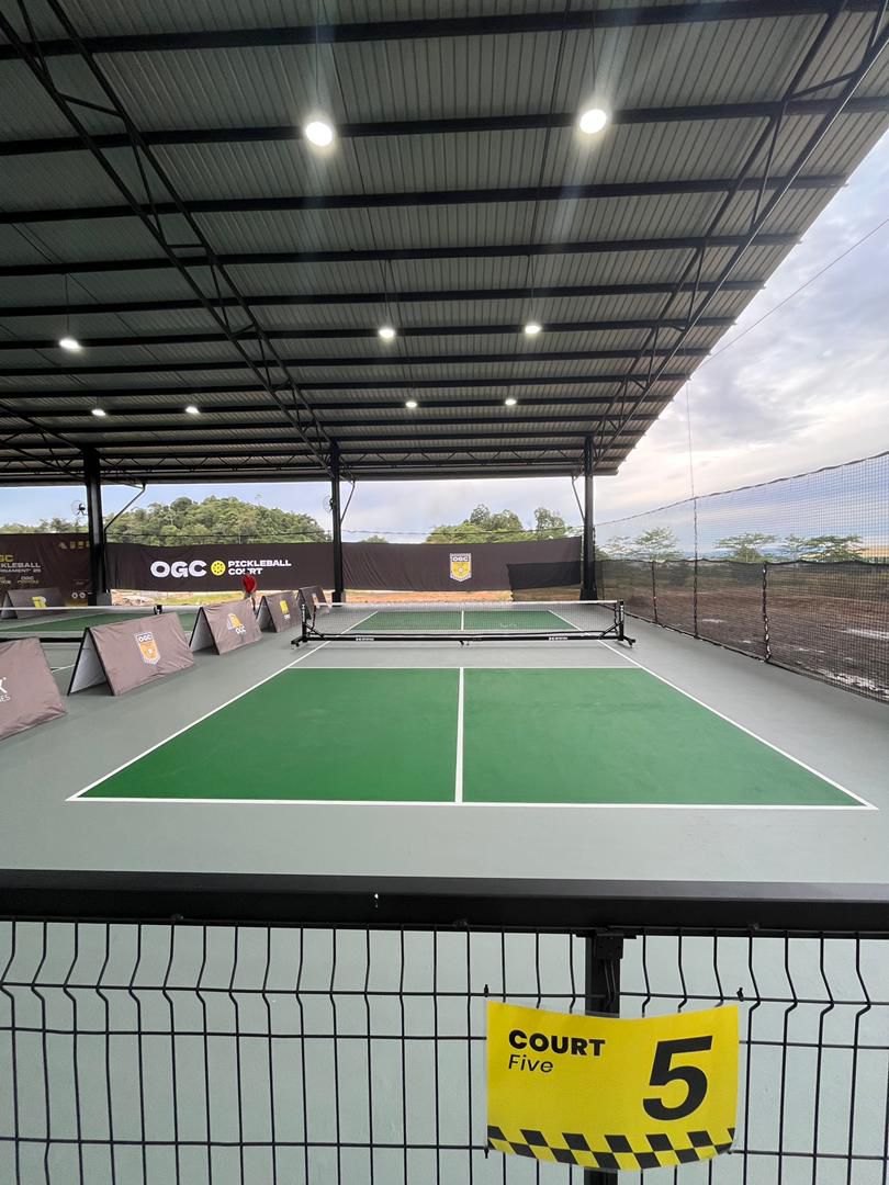OGCO Pickleball Court - Photo 7