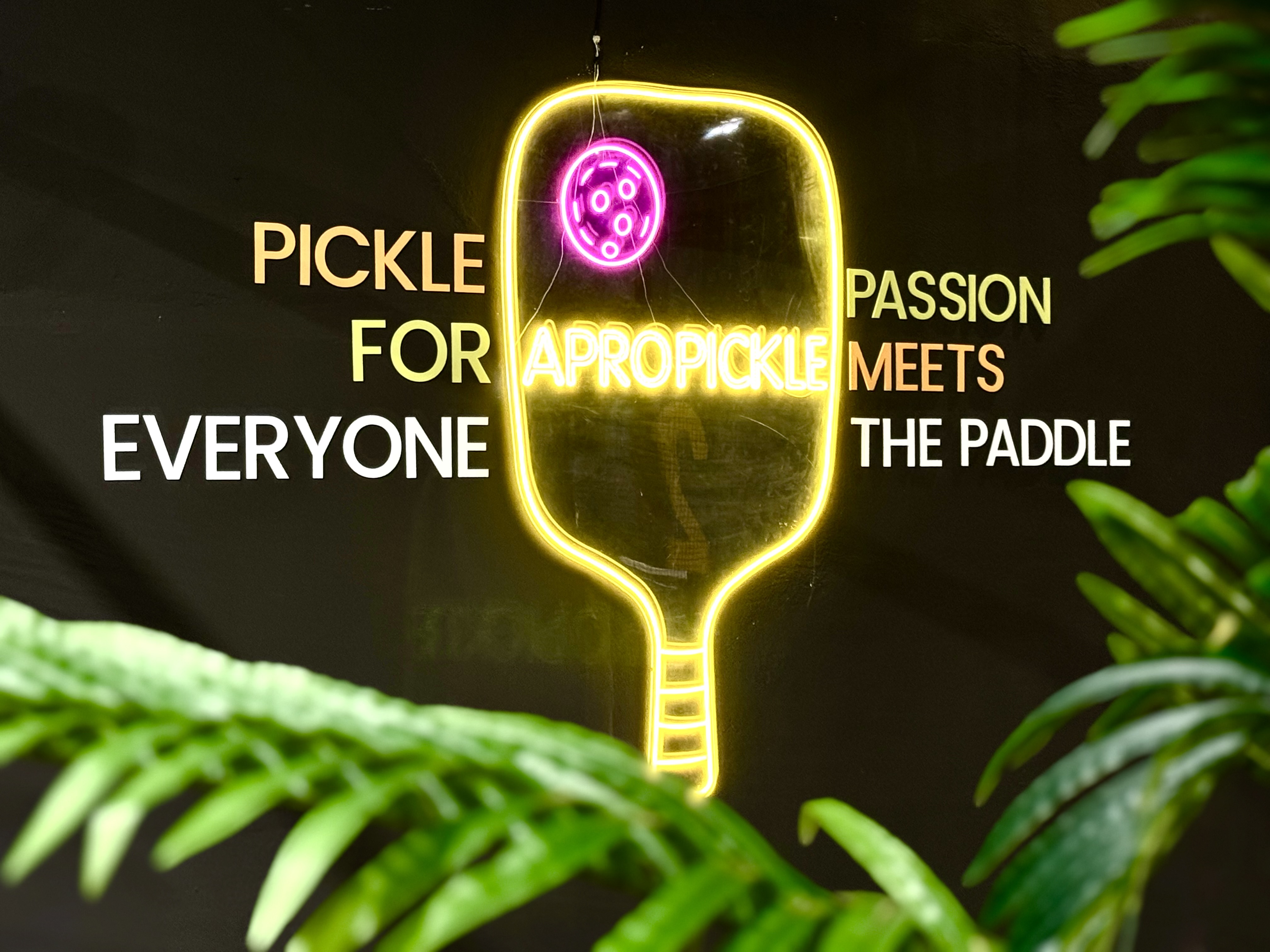 Apro Pickle Club - Photo 9