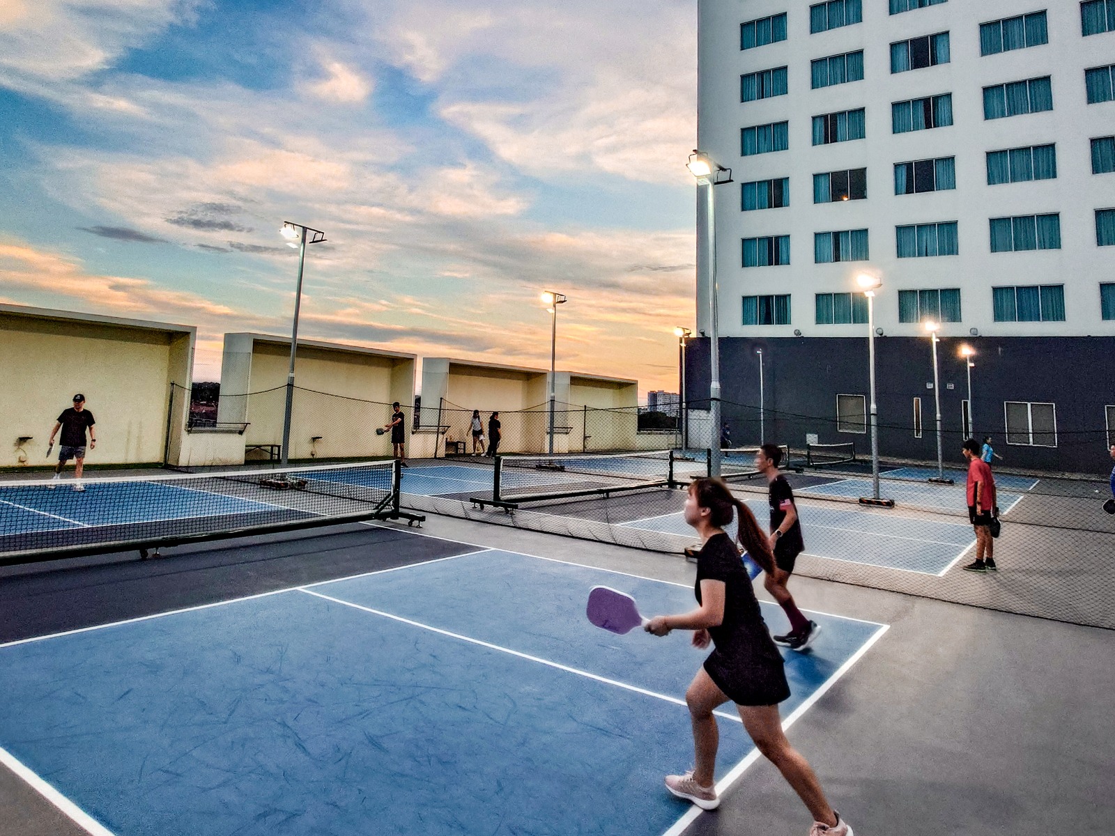 PAD Pickleball - Paddle and Dink - Photo 6