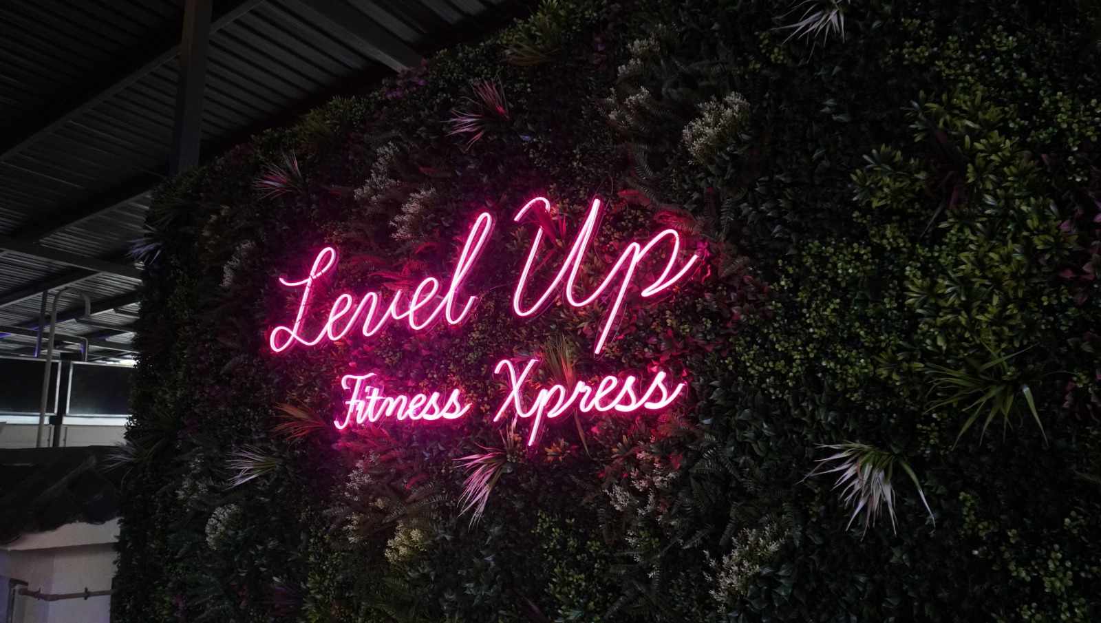 Level Up Fitness Xpress, Gaya St [MEMBERS ONLY, check T&C before booking] - Photo 3